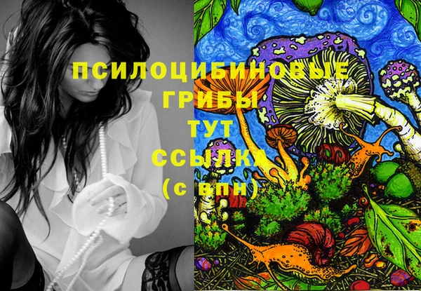 стафф Дмитровск