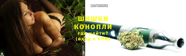 стафф Дмитровск